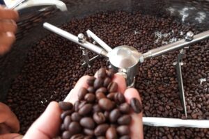 Cà Phê Robusta - Dạng Bột